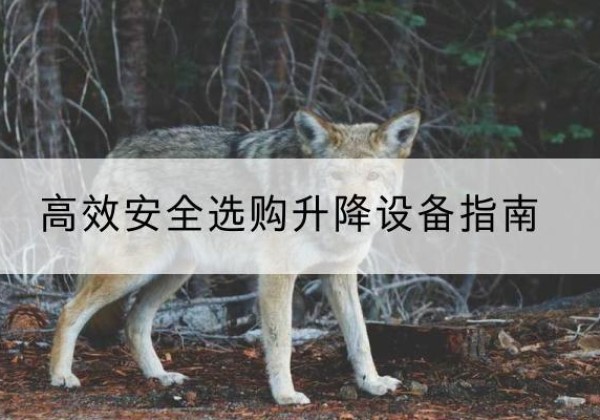 平泉升降货梯厂家推荐-*安全选购升降设备指南