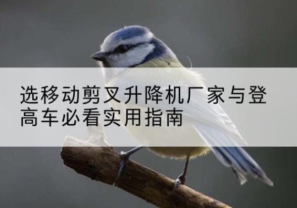平泉电动升降机厂家-选移动剪叉升降机厂家与登高车必看实用指南